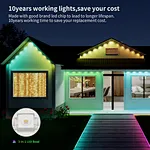 permanent led christmas lights